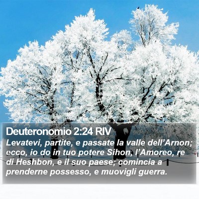 Deuteronomio 2:24 RIV Bible Verse Image