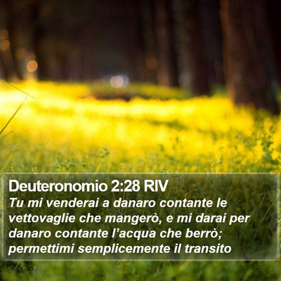 Deuteronomio 2:28 RIV Bible Verse Image