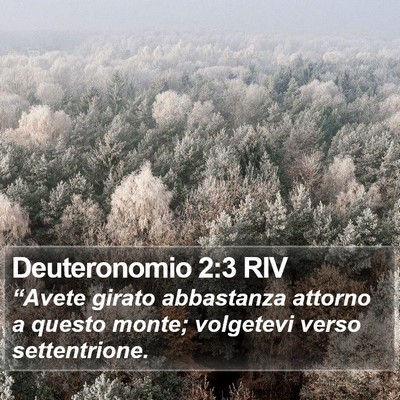 Deuteronomio 2:3 RIV Bible Verse Image
