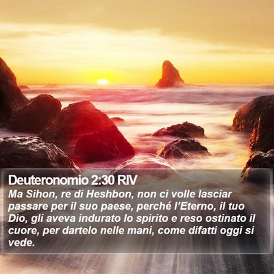 Deuteronomio 2:30 RIV Bible Verse Image