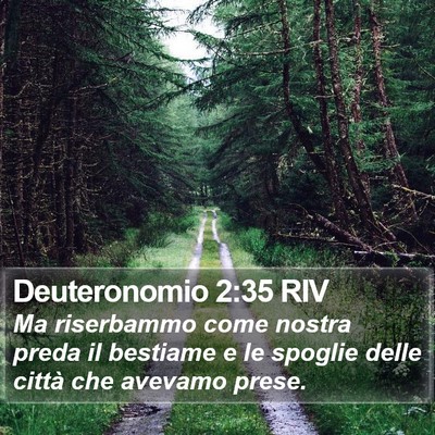 Deuteronomio 2:35 RIV Bible Verse Image