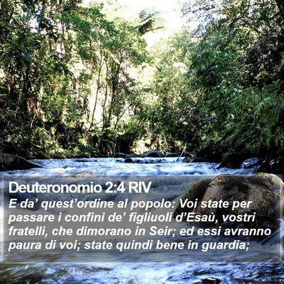 Deuteronomio 2:4 RIV Bible Verse Image