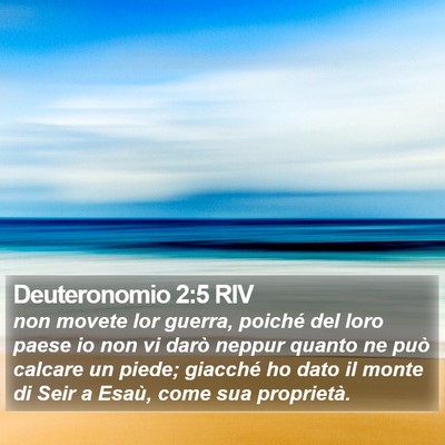 Deuteronomio 2:5 RIV Bible Verse Image