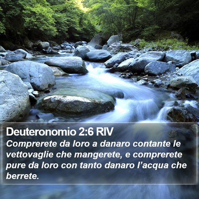 Deuteronomio 2:6 RIV Bible Verse Image
