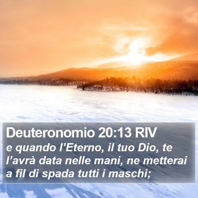 Deuteronomio 20:13 RIV Bible Verse Image