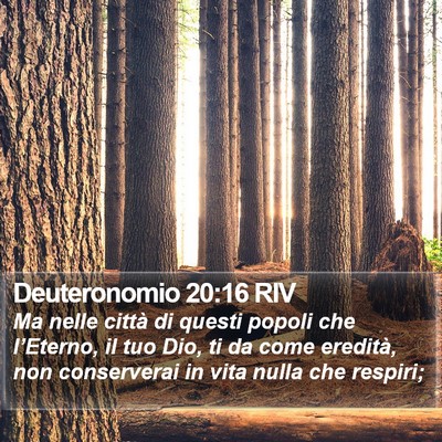 Deuteronomio 20:16 RIV Bible Verse Image