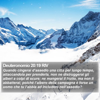 Deuteronomio 20:19 RIV Bible Verse Image