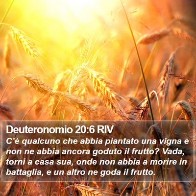Deuteronomio 20:6 RIV Bible Verse Image