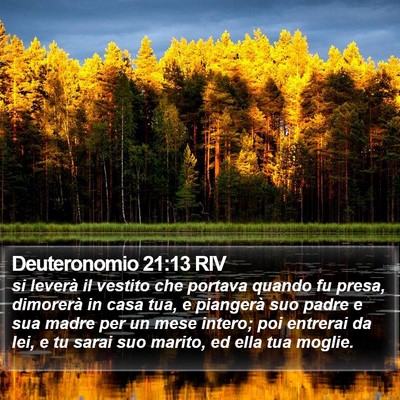 Deuteronomio 21:13 RIV Bible Verse Image