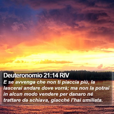 Deuteronomio 21:14 RIV Bible Verse Image