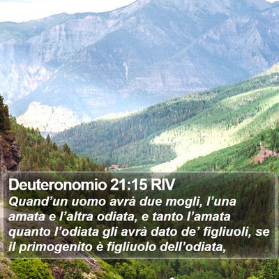 Deuteronomio 21:15 RIV Bible Verse Image