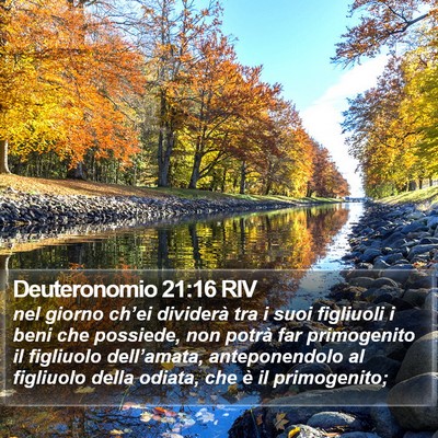 Deuteronomio 21:16 RIV Bible Verse Image