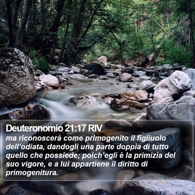 Deuteronomio 21:17 RIV Bible Verse Image