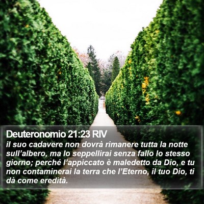 Deuteronomio 21:23 RIV Bible Verse Image