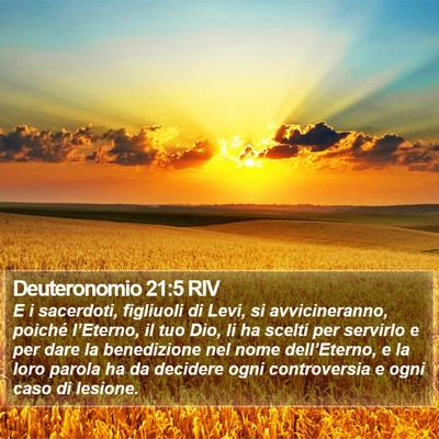 Deuteronomio 21:5 RIV Bible Verse Image