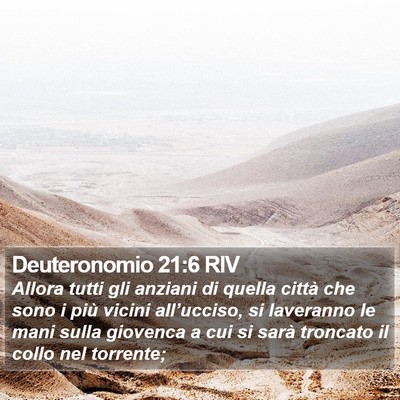 Deuteronomio 21:6 RIV Bible Verse Image