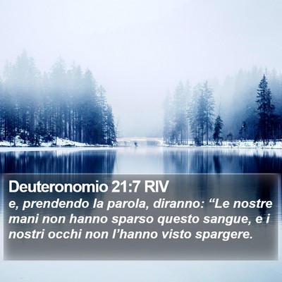 Deuteronomio 21:7 RIV Bible Verse Image