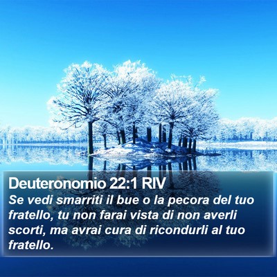 Deuteronomio 22:1 RIV Bible Verse Image