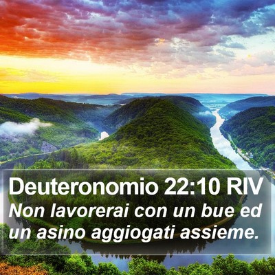 Deuteronomio 22:10 RIV Bible Verse Image