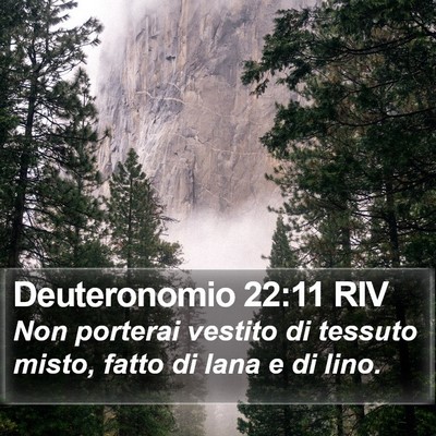 Deuteronomio 22:11 RIV Bible Verse Image
