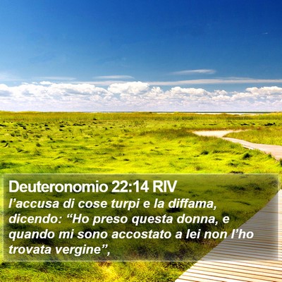 Deuteronomio 22:14 RIV Bible Verse Image
