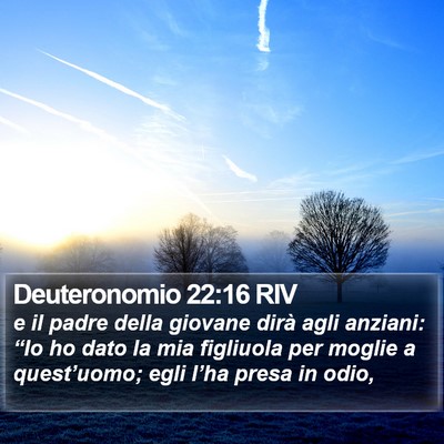 Deuteronomio 22:16 RIV Bible Verse Image