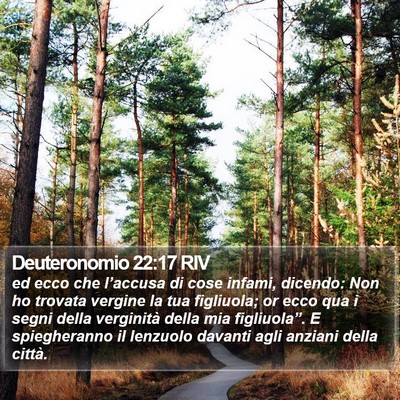 Deuteronomio 22:17 RIV Bible Verse Image