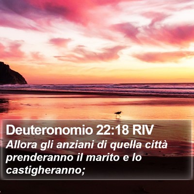 Deuteronomio 22:18 RIV Bible Verse Image