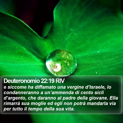 Deuteronomio 22:19 RIV Bible Verse Image