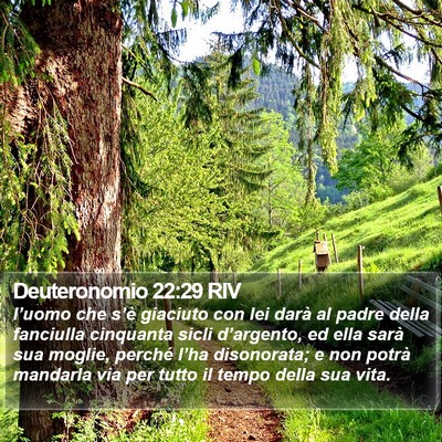 Deuteronomio 22:29 RIV Bible Verse Image