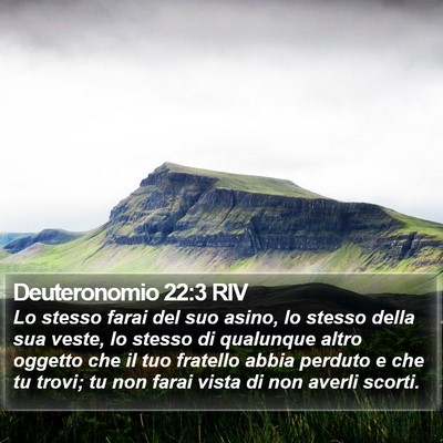 Deuteronomio 22:3 RIV Bible Verse Image