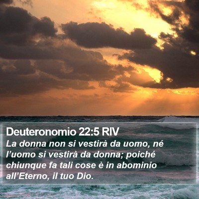 Deuteronomio 22:5 RIV Bible Verse Image