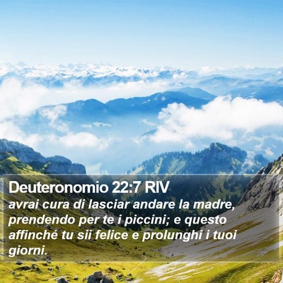 Deuteronomio 22:7 RIV Bible Verse Image