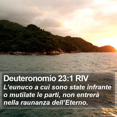 Deuteronomio 23:1 RIV Bible Verse Image