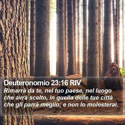 Deuteronomio 23:16 RIV Bible Verse Image