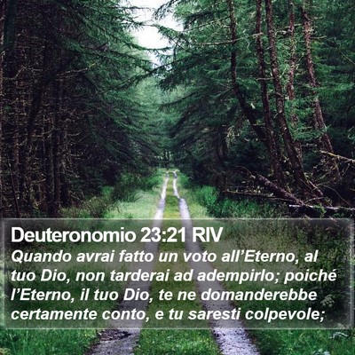 Deuteronomio 23:21 RIV Bible Verse Image