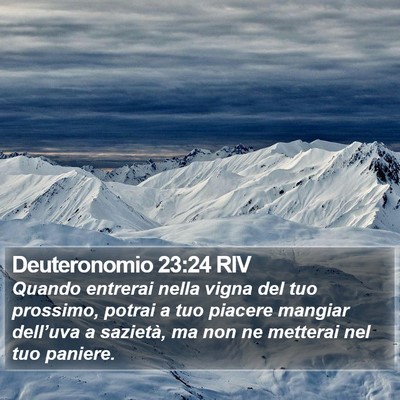 Deuteronomio 23:24 RIV Bible Verse Image