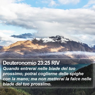 Deuteronomio 23:25 RIV Bible Verse Image