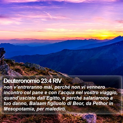 Deuteronomio 23:4 RIV Bible Verse Image