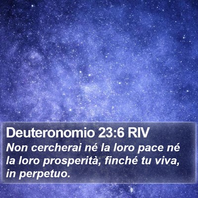 Deuteronomio 23:6 RIV Bible Verse Image