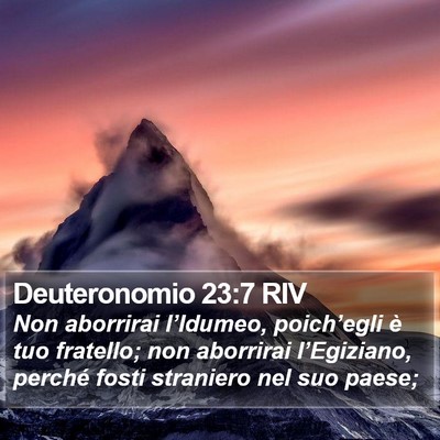 Deuteronomio 23:7 RIV Bible Verse Image