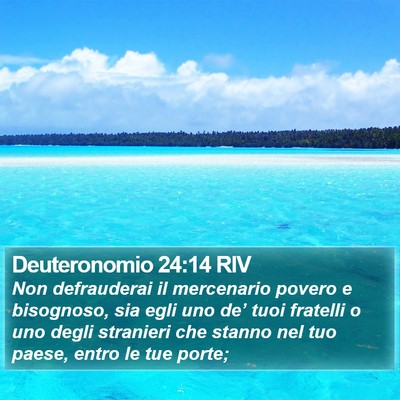 Deuteronomio 24:14 RIV Bible Verse Image