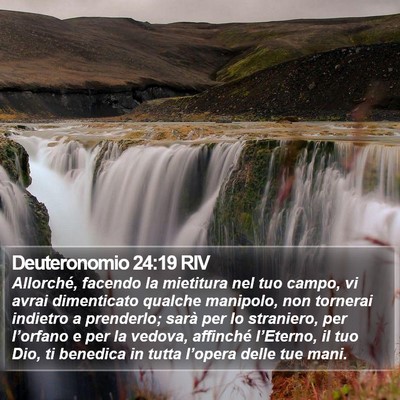Deuteronomio 24:19 RIV Bible Verse Image