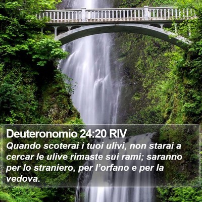Deuteronomio 24:20 RIV Bible Verse Image