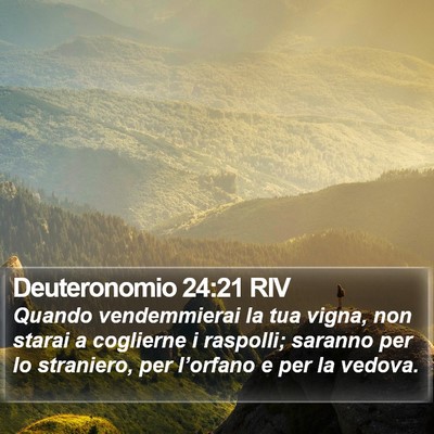 Deuteronomio 24:21 RIV Bible Verse Image
