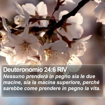 Deuteronomio 24:6 RIV Bible Verse Image