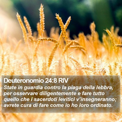 Deuteronomio 24:8 RIV Bible Verse Image