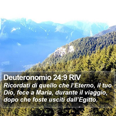 Deuteronomio 24:9 RIV Bible Verse Image
