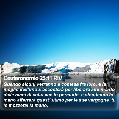 Deuteronomio 25:11 RIV Bible Verse Image