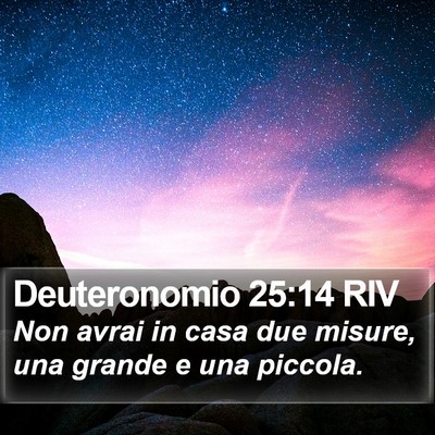 Deuteronomio 25:14 RIV Bible Verse Image